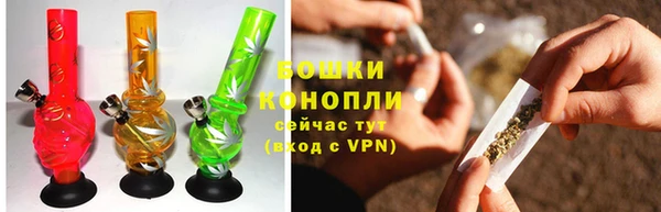 ГАЛЛЮЦИНОГЕННЫЕ ГРИБЫ Магадан