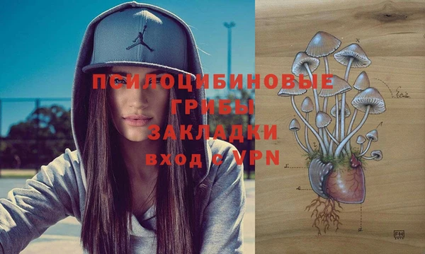 ГАЛЛЮЦИНОГЕННЫЕ ГРИБЫ Магадан